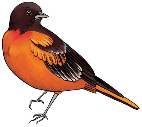 clipart images|Clip Art Images .